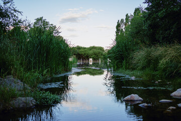 Fototapeta premium Tranquil river with lush vegetation and reflections at sunset