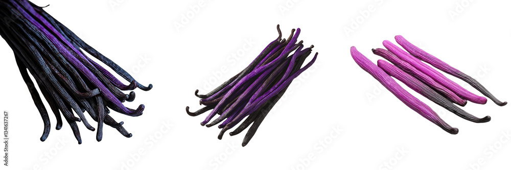Poster on a transparent background, aromatic vanilla pods are isolated, a product of generative ai