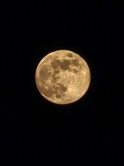 Fullmoon in the dark