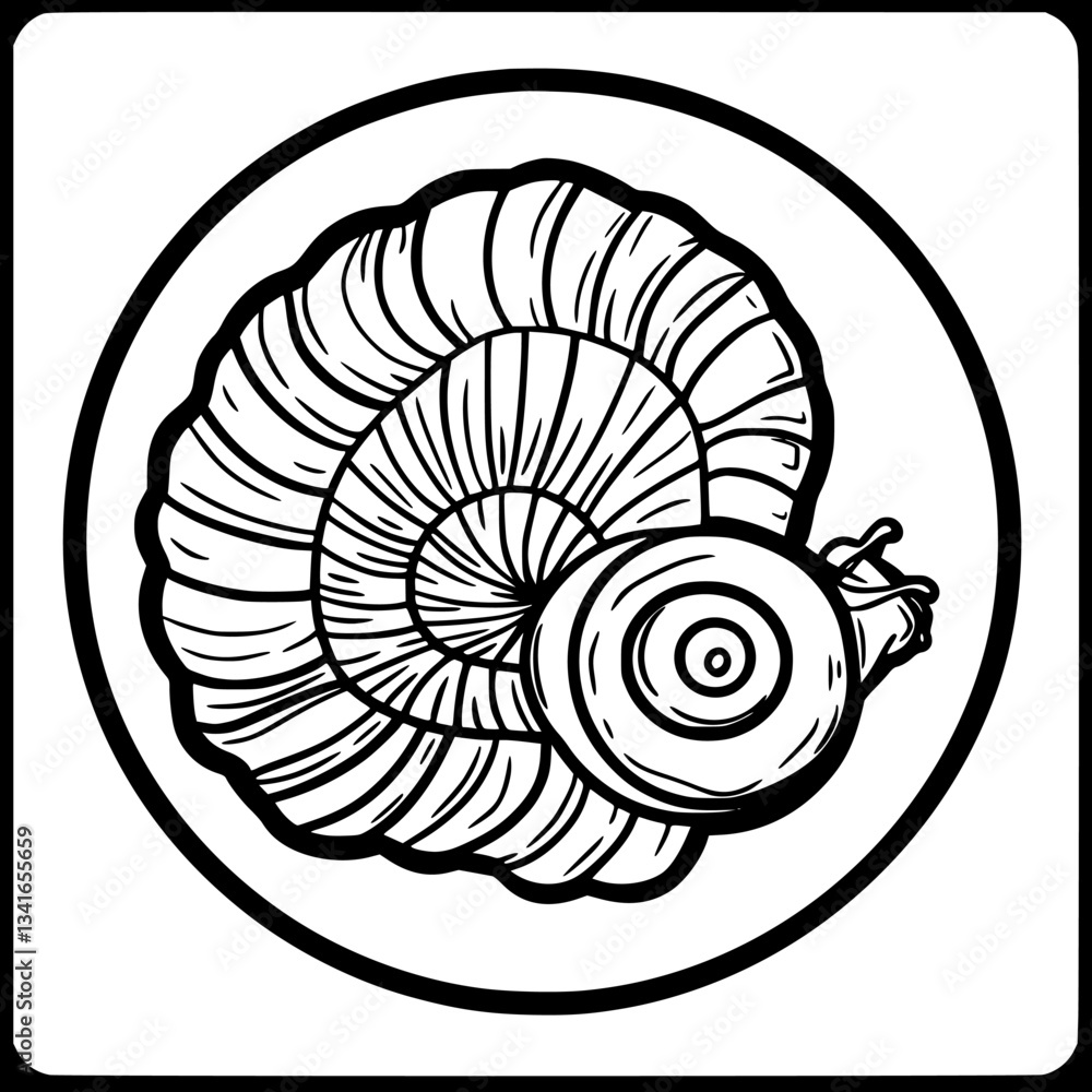 Poster intricate shell design featuring a spiral pattern with a snail resting nearby in a simple outline st