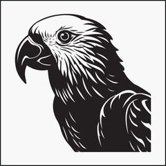 Fototapeta premium Kakapo Parrot