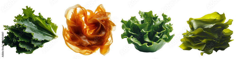 Poster wakame seaweed stands alone on a clear background, a product of generative ai