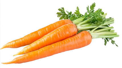 Fresh orange carrots with green tops healthy food vegetable raw eat diet farm salad roots tasty