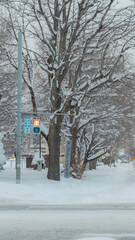Snow Covered Street