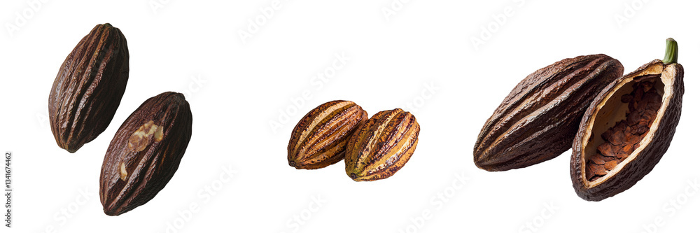 Aufkleber Generative Ai has created an image of ripe cocoa pods isolated on a transparent background