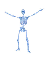 skeleton in a victorious pose