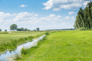 Expansive green landscape featuring a tranquil waterway under a blue sky with fluffy clouds on a sunny day