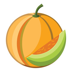 cantaloupe vector icon  on white background