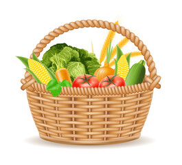 wicker basket with vegetables vector illustration isolated on white background