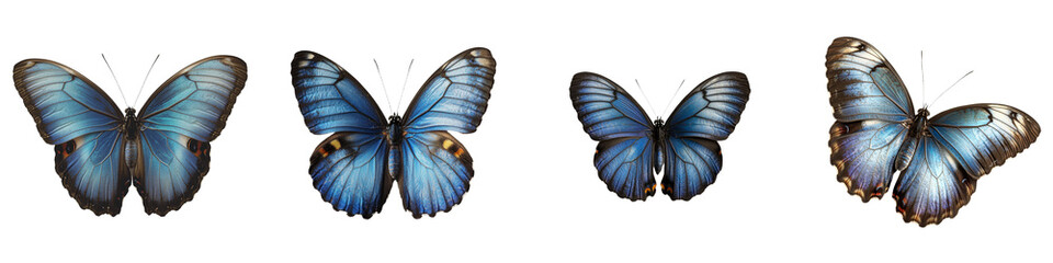 Obraz premium On a transparent background, a blue butterfly is depicted in isolation, a product of Generative Ai