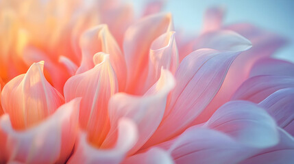 Peach-toned dahlia macro with blurred background
