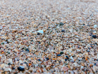 Close up of colorful seashell fragments and pebbles on a sandy beach. Natural textures and coastal aesthetics