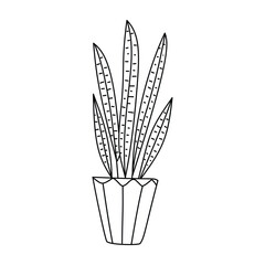 Houseplant in a pot, Doodle illustration.