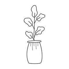 Houseplant in a pot, Doodle illustration.