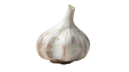 A single head of garlic against a black background