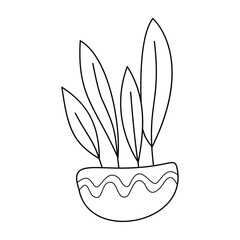 Houseplant in a pot, Doodle illustration.