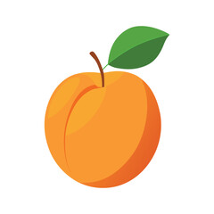 apricot fruit isolated on white background