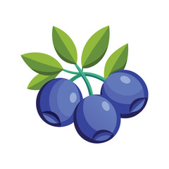 blackcurrant vector icon on white background