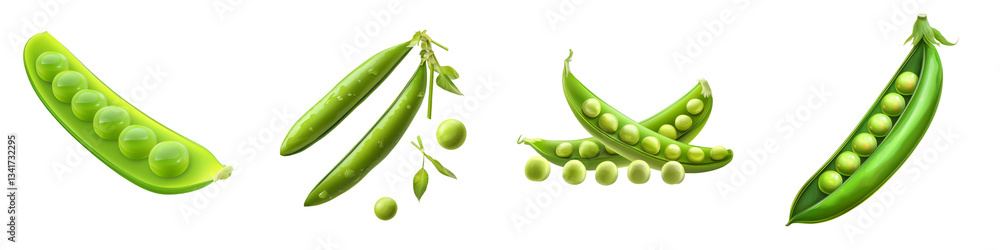 Poster isolated on a transparent background is a single raw green edamame pod, with its smooth texture and 
