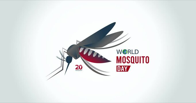 world mosquito day motion video, ideal for world mosquito day celebration