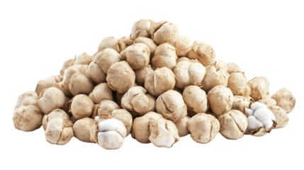 Large pile of dried kapok seed pods displayed closely