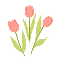 Tulip. Red tulips simple vector illustration for Spring holidays floral decor, Mothers day, Womens day, Happy Birthday cards, postcards, banners, advertising.