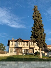 house, architecture, building, home, sky, old, roof, castle, europe, city, mansion, grass, town, exterior, tree, green, window, nature, palace, travel, 