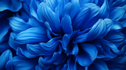 Naklejka premium A stunning close-up of a deep blue dahlia with layered petals, creating a bold and elegant floral display.