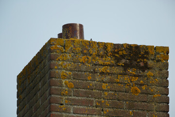Chimney crowned with moss and lichen under a clear blue sky during midday