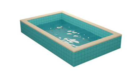 Shallow Rectangular Pool with Tiled Edge