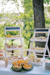 Pull-out shelves with sliced pastries on a served table in the park