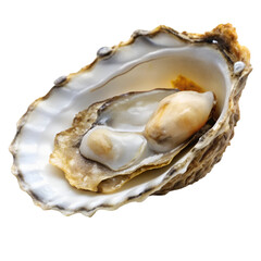 Open oyster shell isolated on transparent background