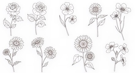Floral Line Art Drawing Featuring Roses Sunflowers Daisies and Other Flowers