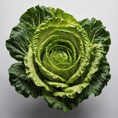 Fototapeta premium A fresh, crisp head of romaine lettuce with bright green layered leaves, isolated on a transparent white clear background.