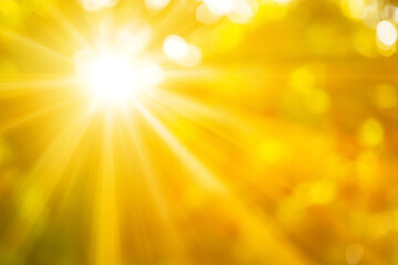 Obraz premium Bright sunlight filtering through lush green foliage, creating a warm and vibrant atmosphere