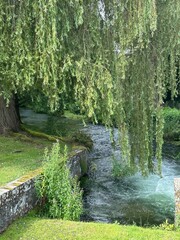 river in the summer