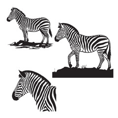 set of black various zebra vector silhouettes