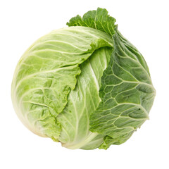 Fresh cabbage isolated on transparent background  
