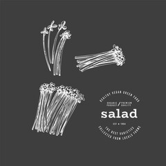 Vintage Style Chalk Board Gerden Cress Illustration. Green Vegetable Illustration. Vector Hand Drawn Salad.