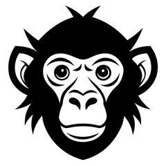 Obraz premium lion head vector