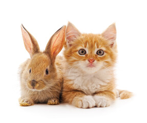 Red kitty and bunny.