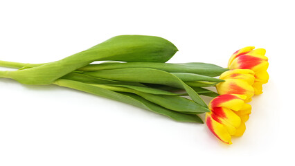 Fototapeta premium Bouquet of multicolored tulips.