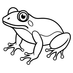Elegant Frog Outline Illustration