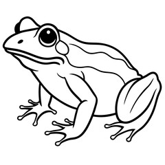 Elegant Frog Outline Illustration