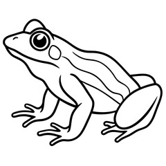 Elegant Frog Outline Illustration