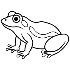 Elegant Frog Outline Illustration