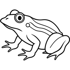 Elegant Frog Outline Illustration