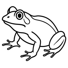 Elegant Frog Outline Illustration