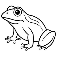 Elegant Frog Outline Illustration