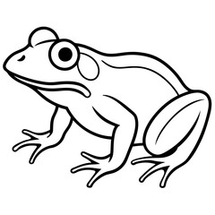 Elegant Frog Outline Illustration
